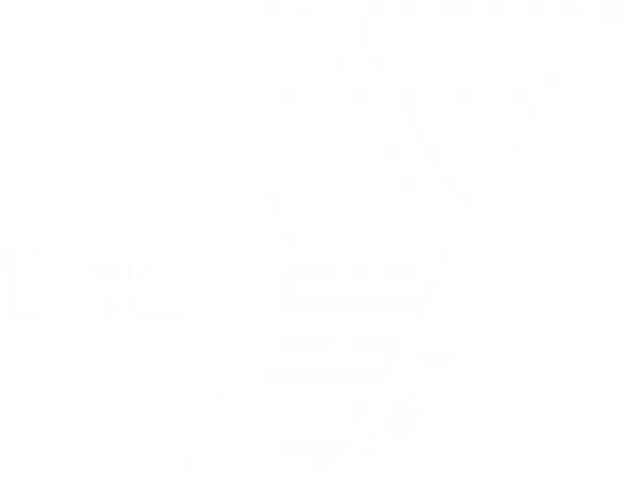 White Y logo
